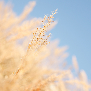 美女被❌❌羞羞的动态图在线观看
